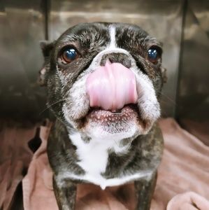 Meet your Posher, Deana